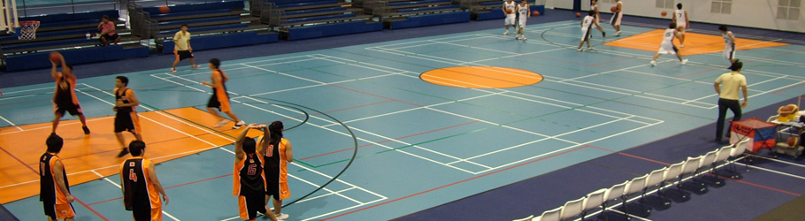 Patana International School, Bangkok, Thailand - Decoflex™ Universal Indoor Sports Flooring - Combi System
